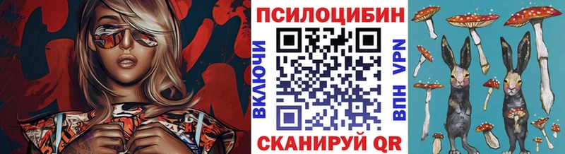 Купить закладки  Северская  Псилоцибиновые грибы Magic Shrooms 